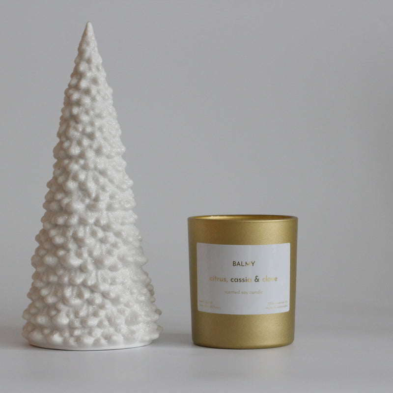 Citrus, cassia & clove candle